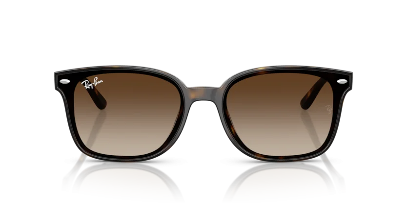 Ray-Ban RB4461D 710/13