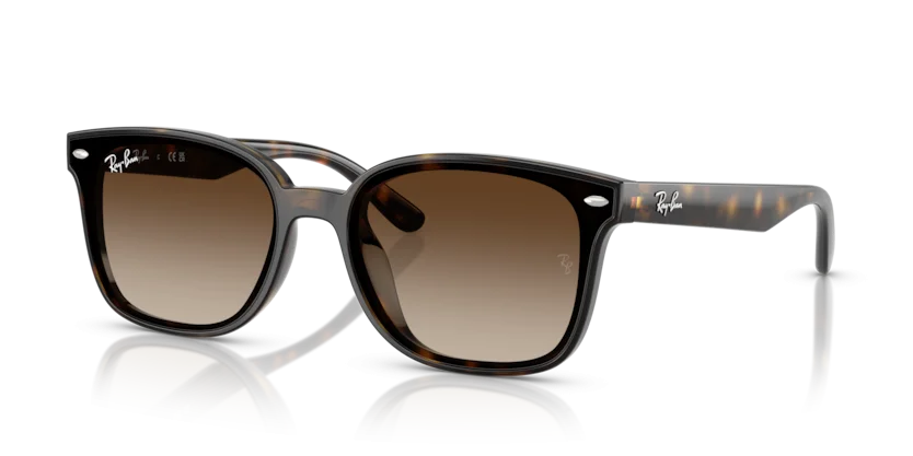 Ray-Ban RB4461D 710/13