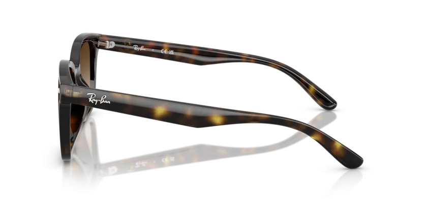 Ray-Ban RB4461D 710/13