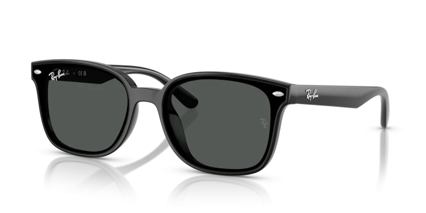Kính Mát Ray-Ban RB4461D 601/87