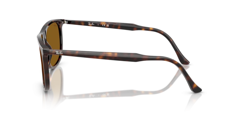Ray-Ban RB2216F 902/33