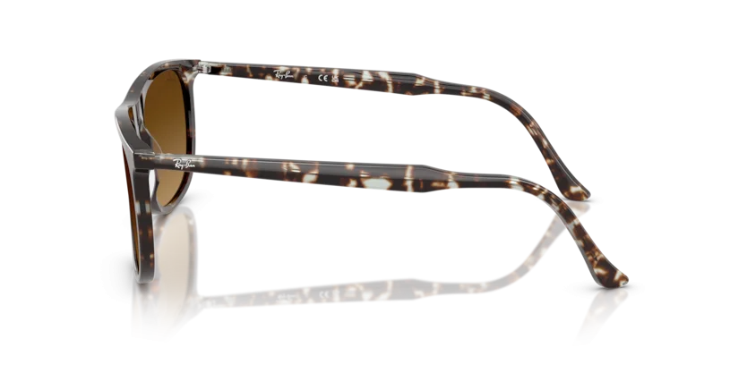 Ray-Ban RB2216F 1431/85