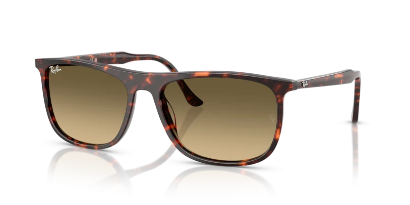 Kính Mát Ray-Ban RB2216F 1429/0A