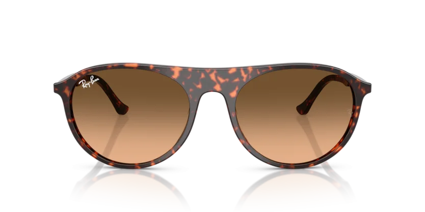 Ray-Ban RB2215F 1429/3B