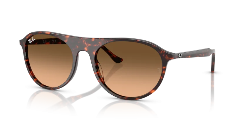 Kính Mát Ray-Ban RB2215F 1429/3B