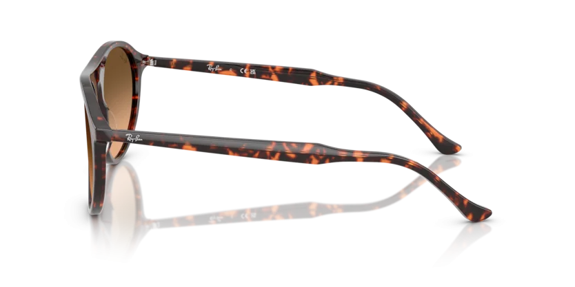 Ray-Ban RB2215F 1429/3B
