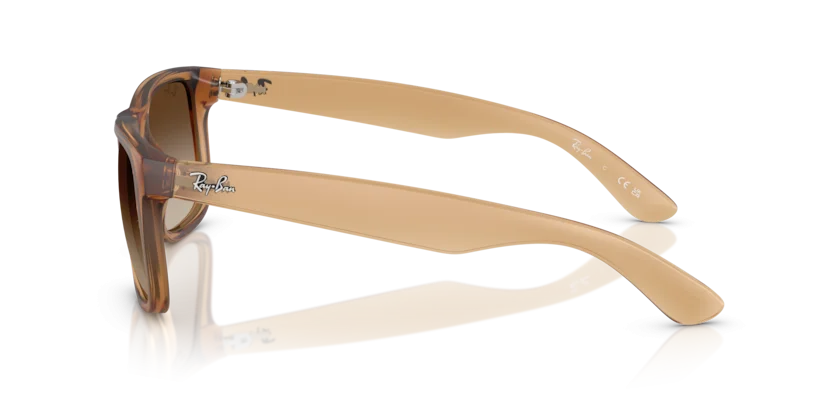 Ray-Ban RB4165F 6814/13