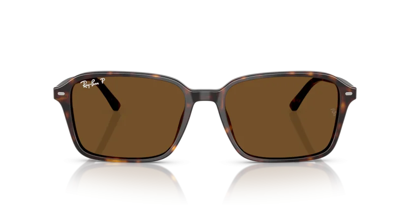 Ray-Ban RB2231F 902/57