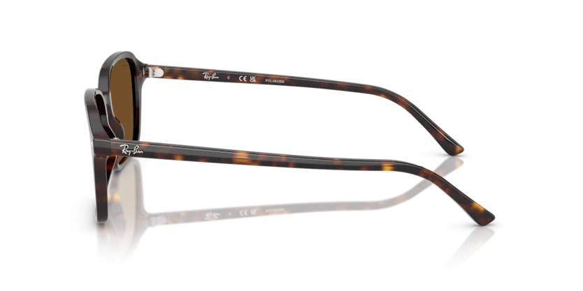 Ray-Ban RB2231F 902/57