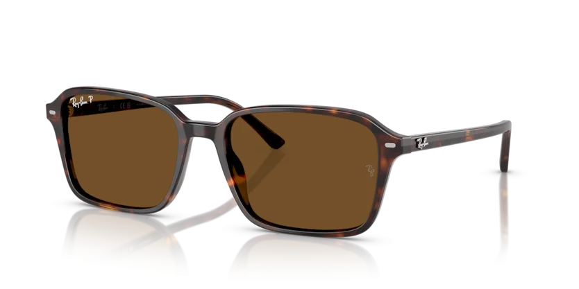 Kính Mát Ray-Ban RB2231F 902/57