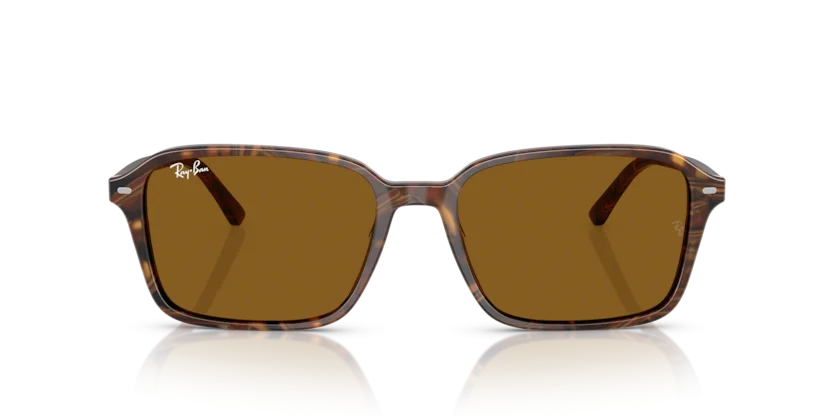 Ray-Ban RB2231F 1418/33
