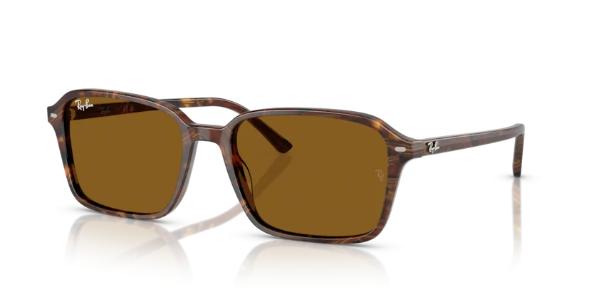Ray-Ban RB2231F 1418/33