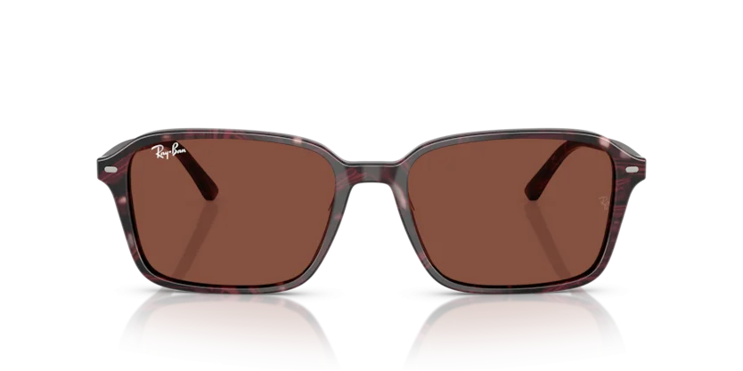 Ray-Ban RB2231F 1416/C5