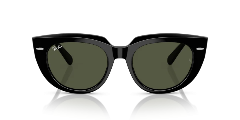 Ray-Ban RB2286F 901/31