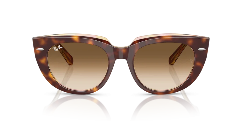 Ray-Ban RB2286F 1414/51