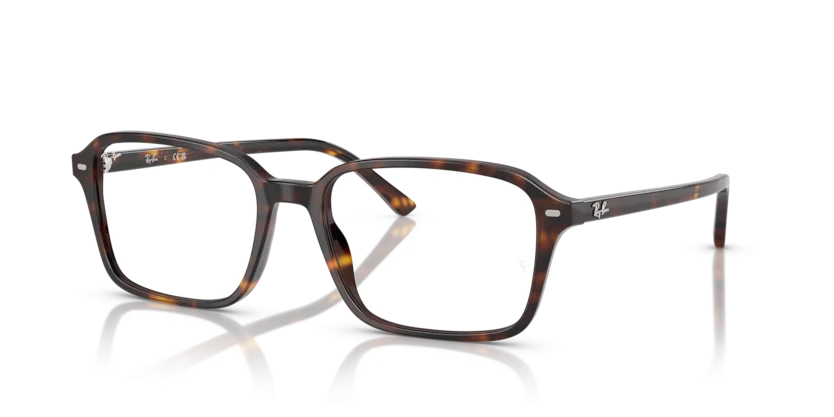 Gọng Kính Ray-Ban RB5431F 2012