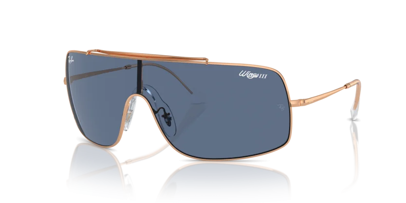 Kính Mát Ray-Ban RB3697 9202/80
