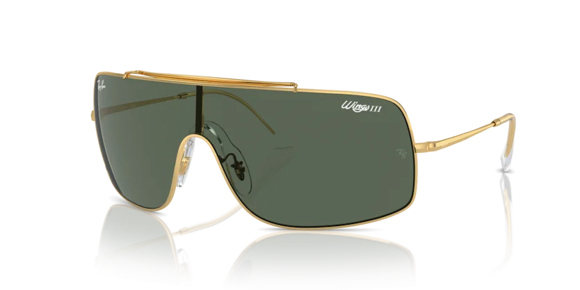 Kính Mát Ray-Ban RB3697 001/71