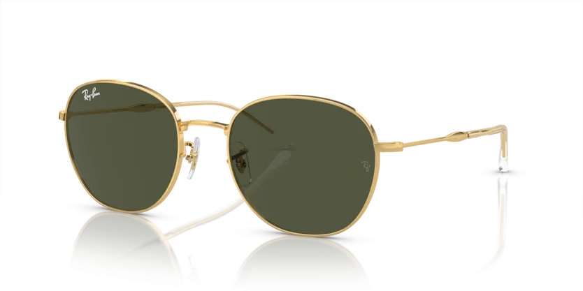 Kính Mát Ray-Ban RB3809 001/31