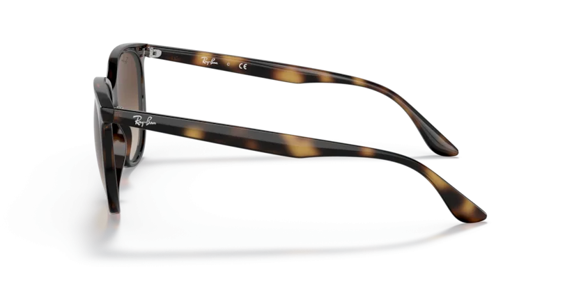 Ray-Ban RB4378F 710/13