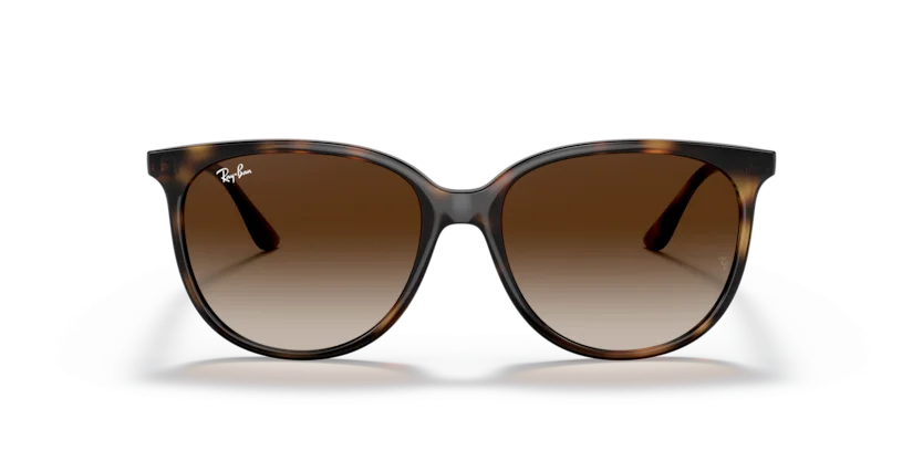 Ray-Ban RB4378F 710/13