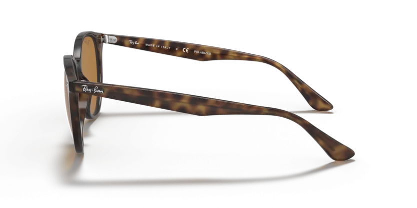 Ray-Ban RB4305F 710/83