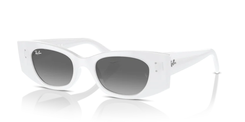 Kính Mát Ray-Ban RB4427 6759/11