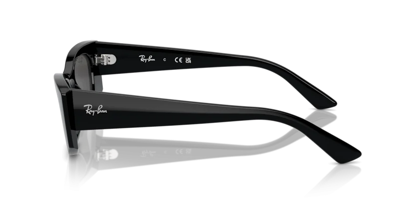 Ray-Ban RB4427 6677/87