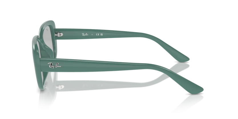 Ray-Ban RB4421D 6762/87