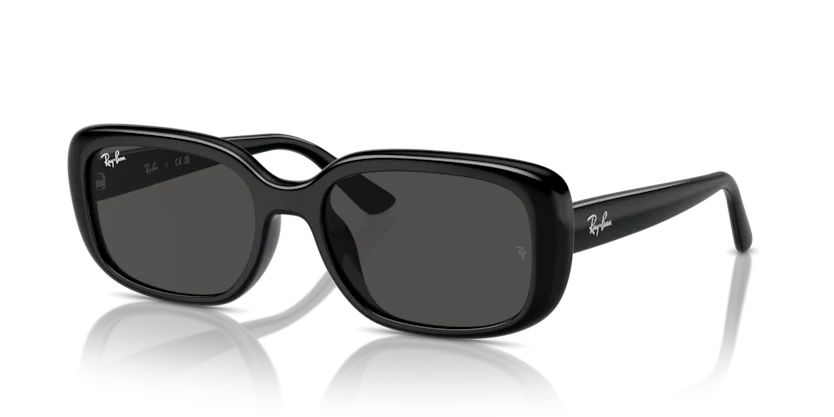 Kính Mát Ray-Ban RB4421D 6677/87