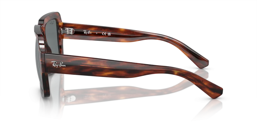 Ray-Ban RB4408 1398/80