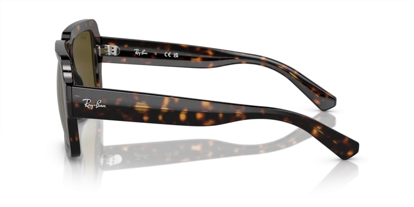Ray-Ban RB4408 1359/73