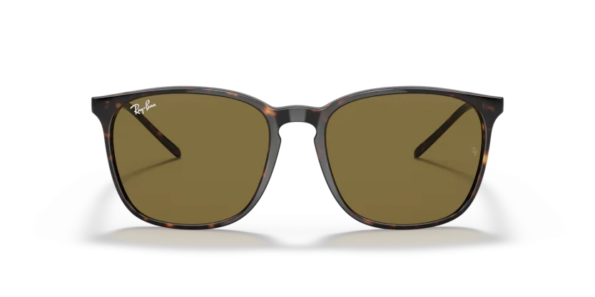 Ray-Ban RB4387F 902/73