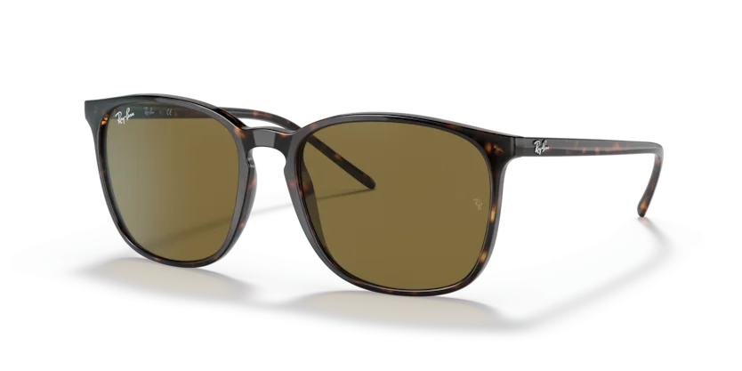 Ray-Ban RB4387F 902/73
