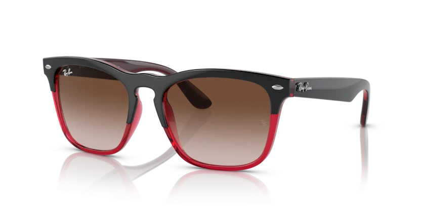 Ray-Ban RB4487F 6631/13