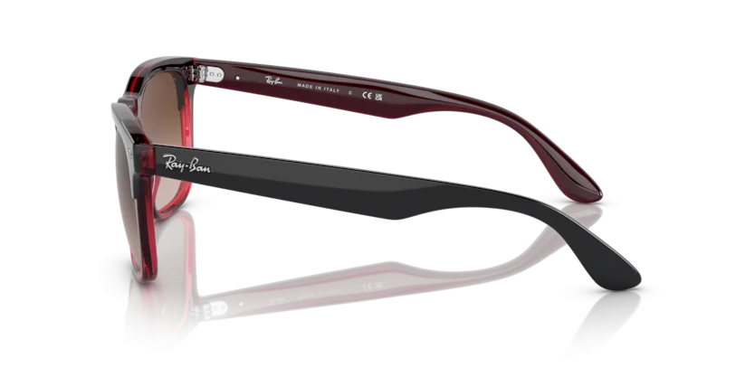 Ray-Ban RB4487F 6631/13
