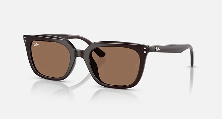 Kính Mát Ray-Ban RB4439D 6231/73