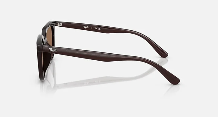 Ray-Ban RB4439D 6231/73