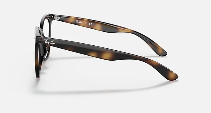 Ray-Ban RB4379VD 2012