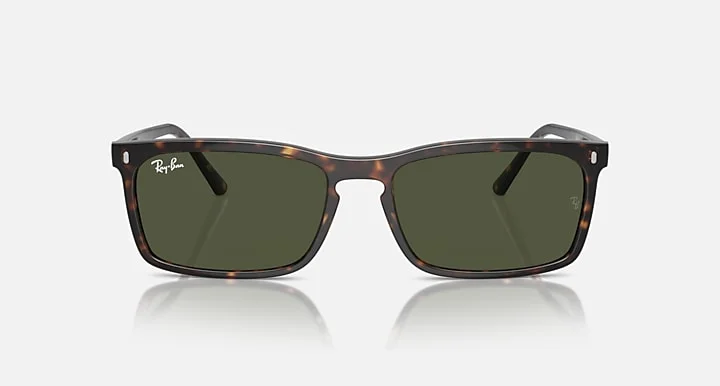 Ray-Ban RB4435 902/31