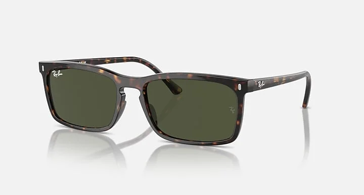 Kính Mát Ray-Ban RB4435 902/31