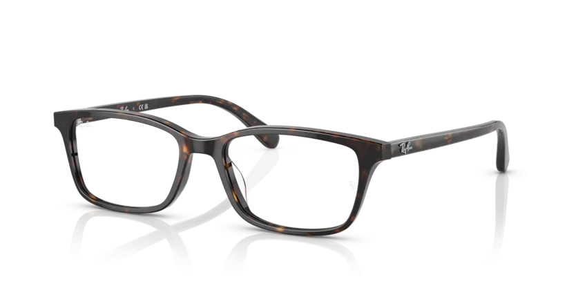 Gọng Kính Ray-Ban RB5416D 2012