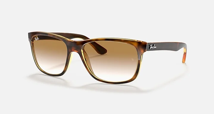 Kính Mát Ray-Ban RB4181 710/51