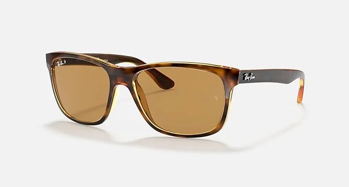 Kính Mát Ray-Ban RB4181 710/83