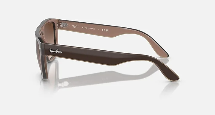 Ray-Ban RB4407 6731/13