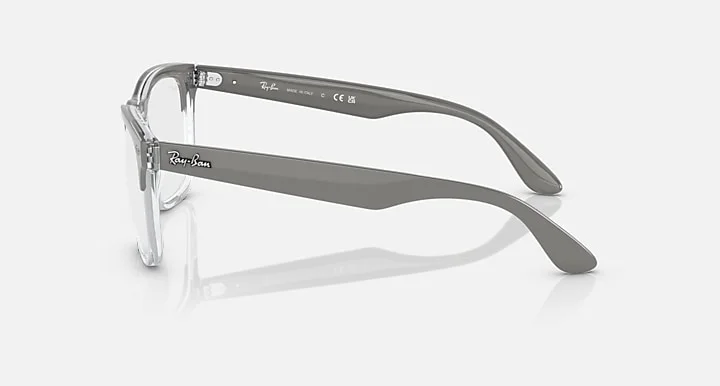 Ray-Ban RB4487VF 8197