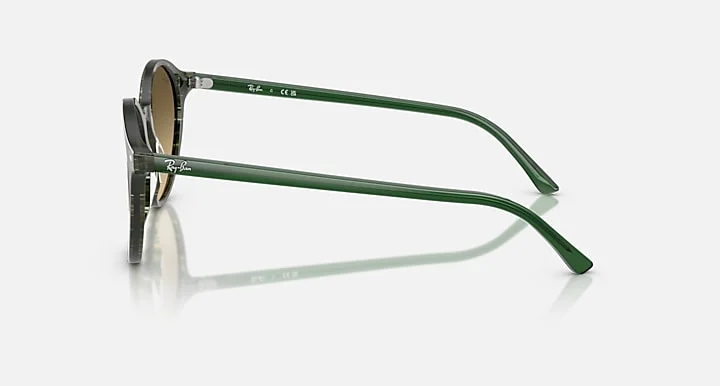 Ray-Ban RB2230F 1421/0A