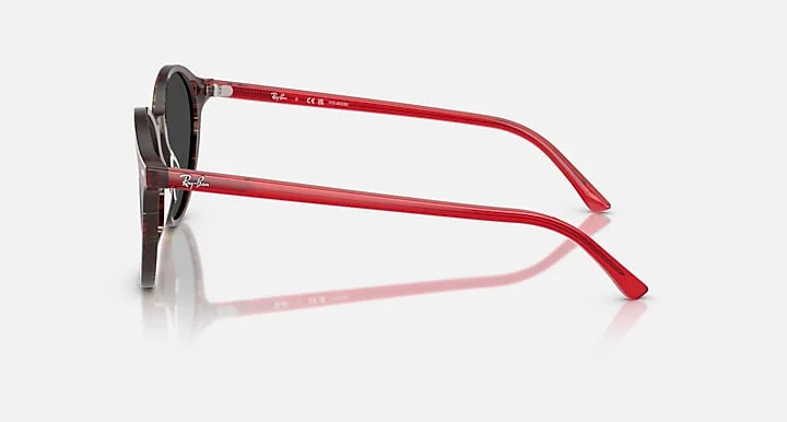 Ray-Ban RB2230F 1419/48