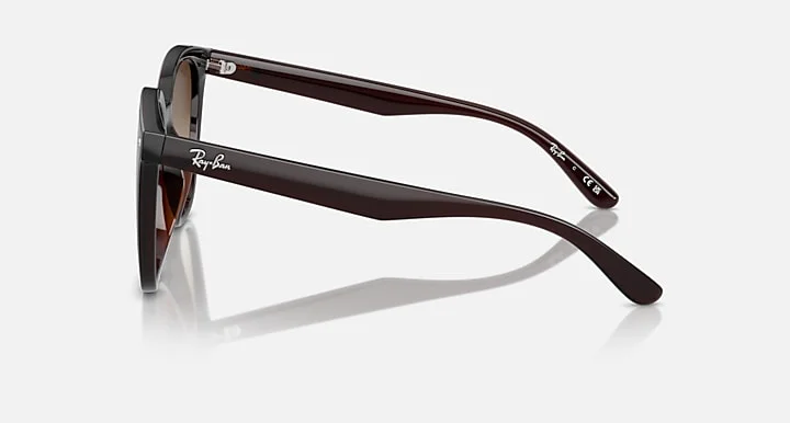 Ray-Ban RB4423D 714/13