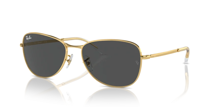 Kính Mát Ray-Ban RB3733 001/GH